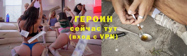 прущие грибы Балахна