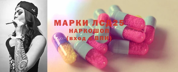 прущие грибы Балахна
