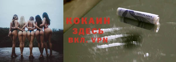 прущие грибы Балахна