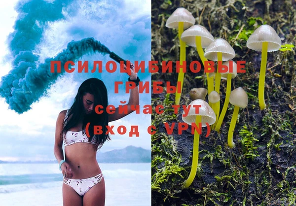 прущие грибы Балахна