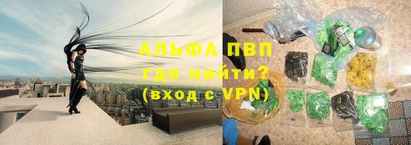 прущие грибы Балахна