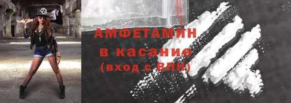 прущие грибы Балахна
